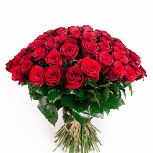 Verdi Red Roses