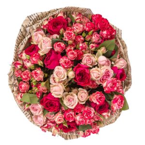 Verdi Romantic Roses